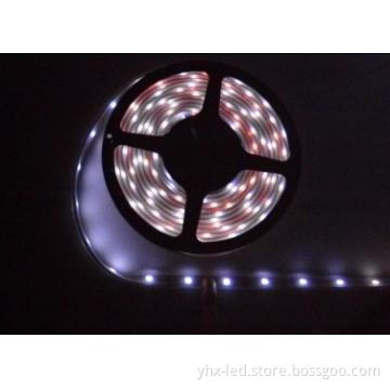 Flexible LED Strip Lamp, Single Color and RGB LED Strip Lights